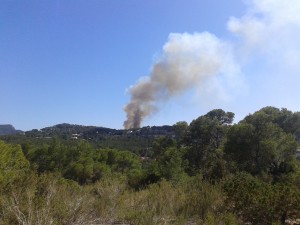 Imagen de la columna de humo