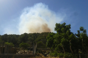 Imagen de la columna de humo