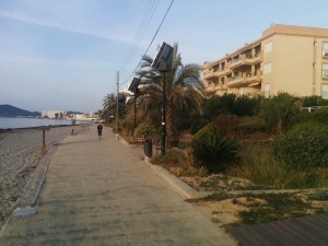 Imagen de los jardines que rodean el paseo de Platja d'en Bossa.