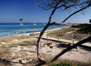 El suceso ocurrió en la playa de es Cavall d'en Borràs, muy cercana al puerto de La Savina. Foto: illesbalears.travel