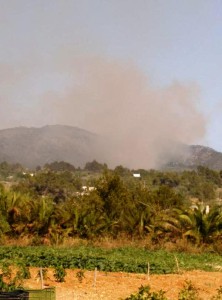 Una imagen de la columna de humo del incendio de Sant Joan. Foto: Pere Planells