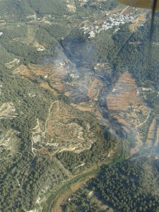 Imagen del área quemada por en incendio en Sant Miquel. 