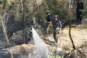 Efectivos actuando en la zona. 