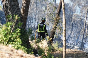 Los medios terrestres actuando en el incendio de Sant Miquel. 