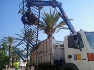 El camión municipal se ha encargado de la retirada de la valla. 