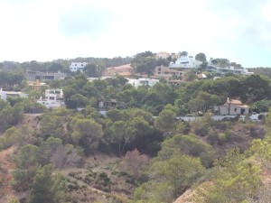 Una imagen de las casas de la urbanización. Foto: L.A.