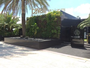 La entrada del restaurante Cavalli de Ibiza. 