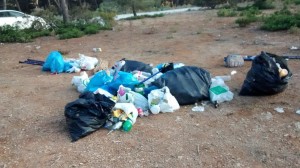 Imagen de la basura que dejaron los asistentes a la fiesta.