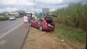 El turismo quedó a escasos metros del humedal