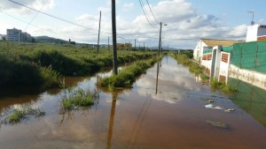 Imagen de ses Feixes des Prat de ses Monges, esta misma tarde.