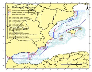 El área 13 es la zona que se declare xxxx.