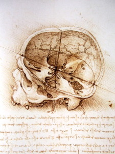 Dibujo y manuscrito de Leonardo da Vinci. 