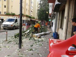 Imagen de la poda de árboles realizada en la calle Pere Francés. 