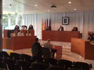 El pleno del Consell de Ibiza.