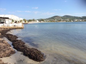 El agua de Talamanca presenta un aspecto turbio. 