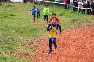 En la diada participaran uns 75 esportistes d'entre 5 i 10 anys d'Eivissa i Formentera.