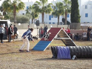 Jornada d’activitats i conscienciació al parc caní de Cas Capità