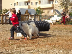 Jornada d’activitats i conscienciació al parc caní de Cas Capità