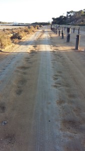 Imagen del estado actual del camino. (Foto: PP de Formentera)