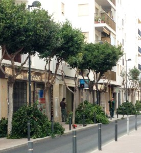 Una imatge de la poda d'arbres al carrer Pere Francès de Vila.