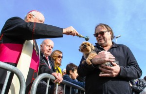 Vicente Juan Segura, obispo de Eivissa, bendice a uno de los perros en brazos de su dueño.  