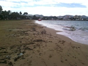 El temporal de viento ha dejado dos barcos varados en la playa de s'Arenal de Sant Antoni.