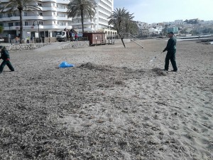 Imagen de los trabajos de limpieza desarrollados en una playa de Vila.