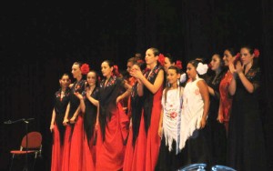 Una imagen del festival flamenco benéfico de este domingo en Can Ventosa.