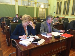 Enric Casanova, durante la Comisión de Economía del Parlament de les Illes Balears.