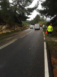 Els operaris han neteja la zona i retirat la branca de pi.