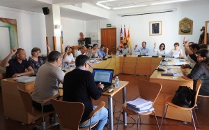 Una de les votacions realitzades durant el ple ordinari del mes de maig del Consell de Formentera.