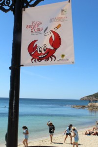 Cartell de la campanya Dia Sense Fums a la platja de Santa Eulària.