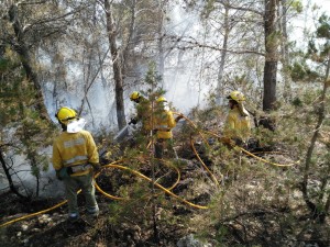 Imagen de los efectivos del Ibanat actuando en el incendio registrado esta tarde.