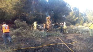 Ibanat y bomberos trabajando en uno de los incendios declarados esta temporada.