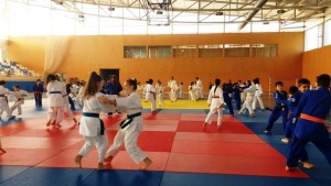 José Ignacio Bueno observa a los judocas durante el Trofeo Promesas del Consell d'Eivissa.