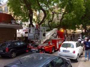 Imagen de los bomberos actuando en un árbol de la Plaza del Parque. 