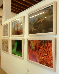 Varias de las fotografías que pueden verse en la exposición 'Abstract', que se inaugura mañana en Sa Punta des Molí.