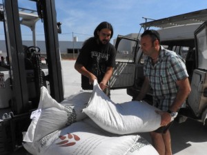 Formentera dóna ajudes als ramaders per fer front a la sequera.