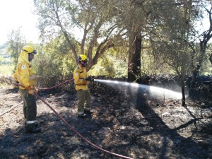 Agentes del Ibanat trabajan en las labores de extinción de un incendio.