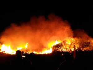 Una imagen del incendio del islote de s'Espalmador. 