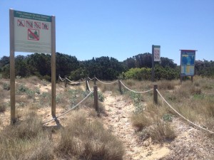 El Govern reitera la prohibición de los baños de barro en s'Espalmador.