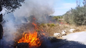 Una imagen del incendio originado esta tarde en la zona de Can Negre.