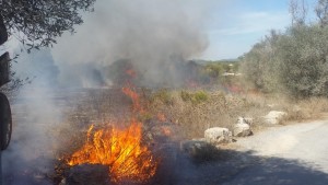 El fuego ha comenzado junto a la carretera