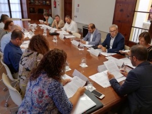 El presidente del Consell d'Eivissa, Vicent Torres, en la reunión de esta mañana.