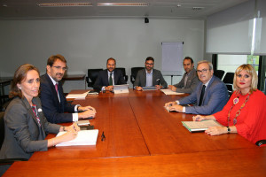 La reunión entre el Consell de Ibiza y los representantes de Red Eléctrica, en Madrid.