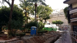 Una vista del resto de la vegetación que queda en la Plaza del Parque. 