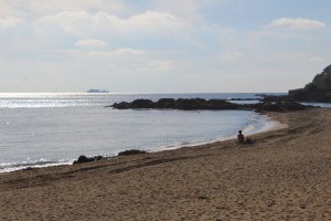 Imagen de la playa de Santa Eulàra con los montones de posidonia oceánica.