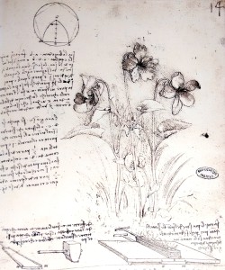 Imagen: Esbozo y notas de Leonardo da Vinci.