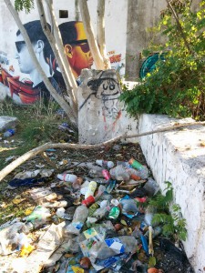 Amics de la Terra neteja ses Feixes amb la campanya 'Doy la lata' .